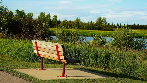 10 Innovations Ingénieuses pour Faciliter la Mobilité des Seniors et Enrichir leur Vie Quotidienne